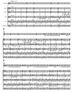 冥想曲  手风琴+弦乐五重奏 总谱+分谱 有试听-云音圈