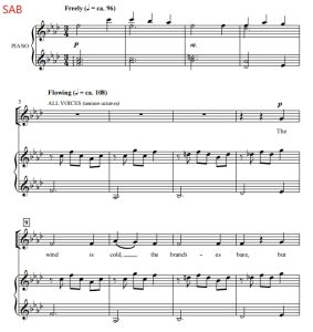 商品为SAB 三声部合唱线谱 十二月卡农 December Canon 布罗斯版  混声合唱谱 有试听-云音圈