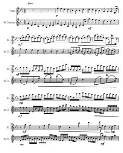 卡农 长笛单簧管总谱+分谱 有试听-云音圈