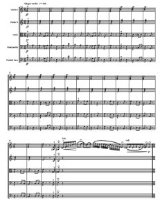 多瑙河之波 Waves of the Danube 弦乐五重奏 总谱+分谱  有试听-云音圈