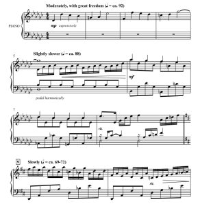 商品为SSAA 四声部合唱线谱 当你对着星星许愿 雷·哈林版 童声女声合唱谱 有试听-云音圈