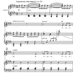 商品为SATB 四声部合唱线谱 O Nata Lux 约翰逊版 混声合唱谱 有试听-云音圈