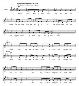 商品为SA 二声部合唱线谱 The Wellerman 爱默生版 阿卡贝拉 童声女声无伴奏合唱谱 有试听-云音圈