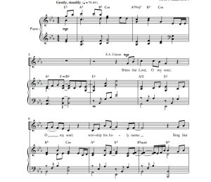 商品为SATB 四声部合唱线谱 一万个理由 拉尔森版 混声合唱+钢琴谱 有试听-云音圈