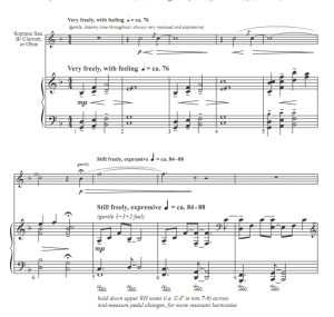 商品为SSAA 四声部合唱线谱 伯利恒小镇 福雷斯特版 童声女声合唱+钢琴谱 有试听-云音圈