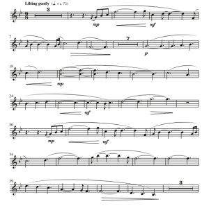 商品为伴奏分谱 凯尔特平安夜 蒂尔尼版 合唱伴奏分谱 有试听-云音圈