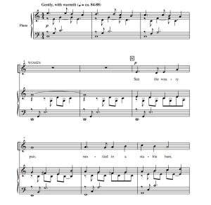 商品为合唱伴奏音频mp3 圣诞弥撒：圣歌 丹格勒版 合唱伴奏音频 有试听-云音圈