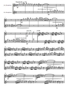 峡谷的回声 中音萨克斯二重奏 总谱 共3页 有试听-云音圈