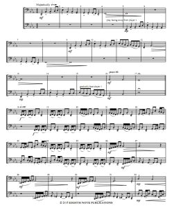 峡谷的回声 大号二重奏 总谱 共3页 有试听-云音圈