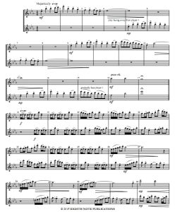 峡谷的回声 长笛二重奏 总谱 共3页 有试听-云音圈