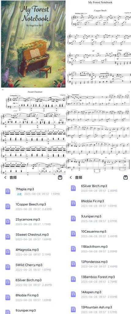 安吉丽娜贝尔 我的森林笔记本 15首独奏曲目 初中级难度 带音频