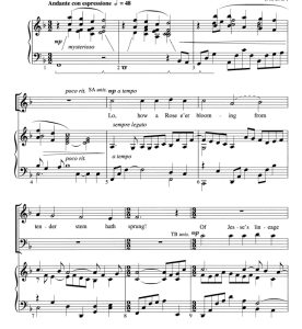 商品为合唱伴奏音频mp3 玫瑰花开 赫尔维版 合唱伴奏音频 有试听-云音圈