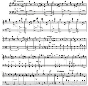 蓝色多瑙河  手风琴谱 有试听-云音圈