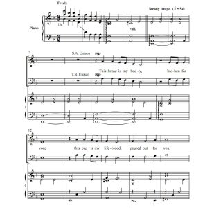 商品为SATB 四声部合唱线谱 请记住我 施拉德版 混声合唱+钢琴谱 有试听-云音圈