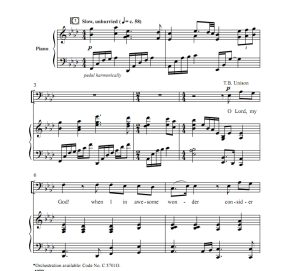 商品为TTBB 四声部合唱线谱 你真伟大 麦克唐纳版 男声合唱谱 有试听-云音圈