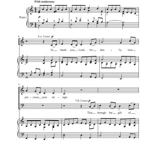 商品为合唱伴奏音频mp3 恩典之家 马丁版 合唱伴奏音频 有试听-云音圈