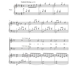 商品为合唱伴奏音频mp3 烛光颂歌 马丁版 合唱伴奏音频 有试听-云音圈