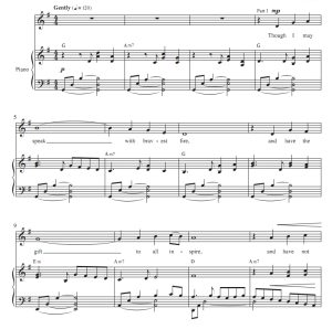 商品为声乐二重奏谱 爱的礼物  霍普森版 声乐二重奏 有试听-云音圈