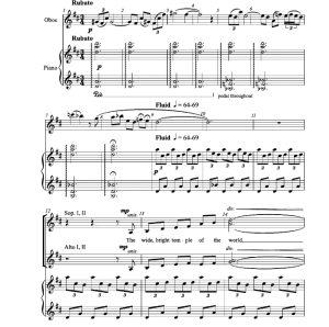 商品为SSAA 四声部合唱线谱 Anadyomene 梅姆利版 童声女声合唱谱 有试听-云音圈