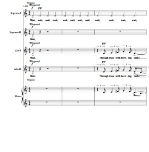 商品为SSAA 四声部合唱线谱 Flare 特伦博尔版 阿卡贝拉 童声女声无伴奏合唱谱 有试听-云音圈