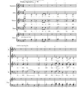 商品为SATB 四声部合唱线谱 Ndji Raisa Ondundu 阿卡贝拉 混声无伴奏合唱谱 有试听-云音圈