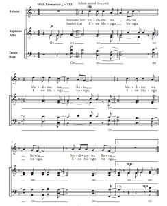 商品为SSA 三声部合唱线谱 Reamo Leboga 罗宾逊版 阿卡贝拉 童声女声无伴奏合唱谱 有试听-云音圈