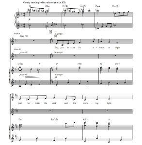 商品为SA 二声部合唱线谱 The Place Where Lost Things Go 赫夫版 童声女声合唱谱 有试听-云音圈