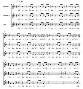 商品为SSA 三声部合唱线谱 Three Kenyan Folk Songs for Treble Choir 理查德版 阿卡贝拉  童声女声无伴奏合唱谱 有试听-云音圈