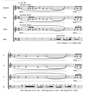 商品为合唱伴奏音频mp3 Wayfaring Stranger 佩德森版 合唱伴奏音频 有试听-云音圈