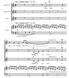 商品为SSA 三声部合唱线谱 Wind in the Pines 蒂皮特版 童声女声合唱谱 有试听-云音圈