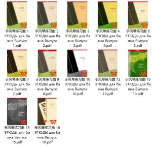 手风琴巴扬练习曲曲集 共12本  练习手指灵活度 快速提高演奏能力-云音圈