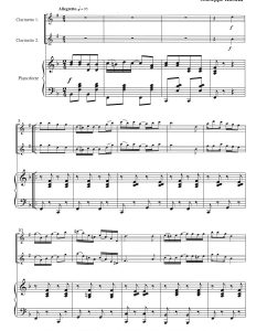 TWIN CLARINETS 双单簧管钢琴 朱塞佩・里科塔 总谱+分谱  有试听  自动发货-云音圈