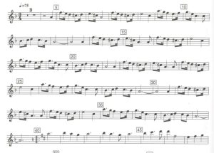 《1492 征服天堂》主题曲  长笛独奏 带伴奏音频 有试听-云音圈