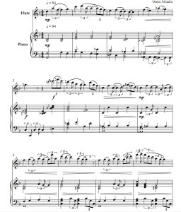 什么时候说 长笛钢琴 总分谱 有试听-云音圈