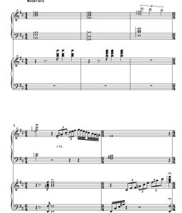 夜光杯 四手联弹 有试听-云音圈