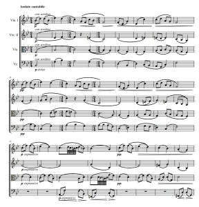 如歌的行板 弦乐四重奏 总谱+分谱 有试听-云音圈