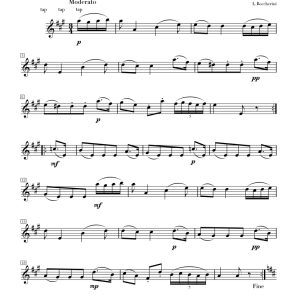 波凯利尼-小步舞曲 长笛独奏 带伴奏音频 有试听-云音圈