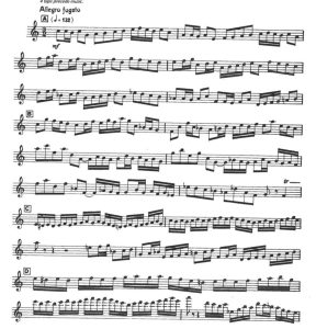 飞翔 长笛独奏 带伴奏音频 有试听-云音圈