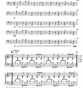 Ghanaia加纳 马林巴独奏 有试听-云音圈