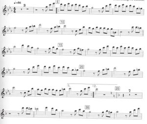 《教父》插曲Speak Softly Love 长笛独奏 带伴奏音频 有试听-云音圈