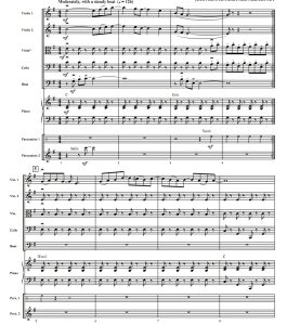 埃莉诺·里格比 交响弦乐+钢琴+打击乐 总谱+分谱 有试听-云音圈