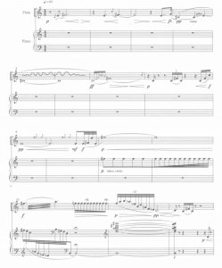 天香引 长笛钢琴 总谱 有试听-云音圈