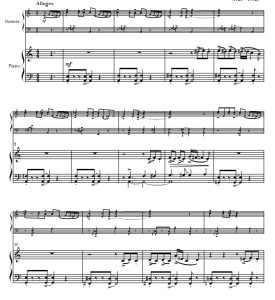 自由探戈  马林巴与钢琴二重奏 总谱 有试听-云音圈