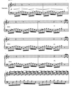 蝴蝶之舞 马林巴独奏 有试听-云音圈