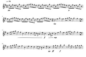 Waterfall 小提琴谱 有试听-云音圈