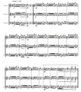 三个土匪   初-中级 单马林巴三重奏 总谱 有试听-云音圈