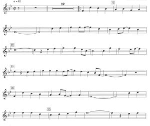 世界之巅  长笛独奏 带伴奏音频 有试听-云音圈