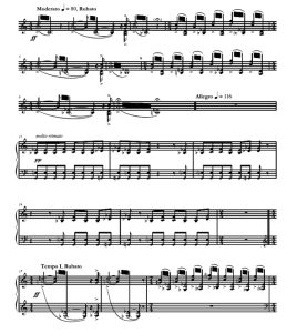 亚马逊人 Amazonka 高级 斯坦科维奇 四槌 独奏 马林巴谱 有试听-云音圈