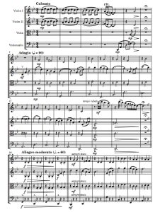 人生的旋转木马 哈尔的移动城堡 弦乐四重奏 总谱+分谱 有试听-云音圈