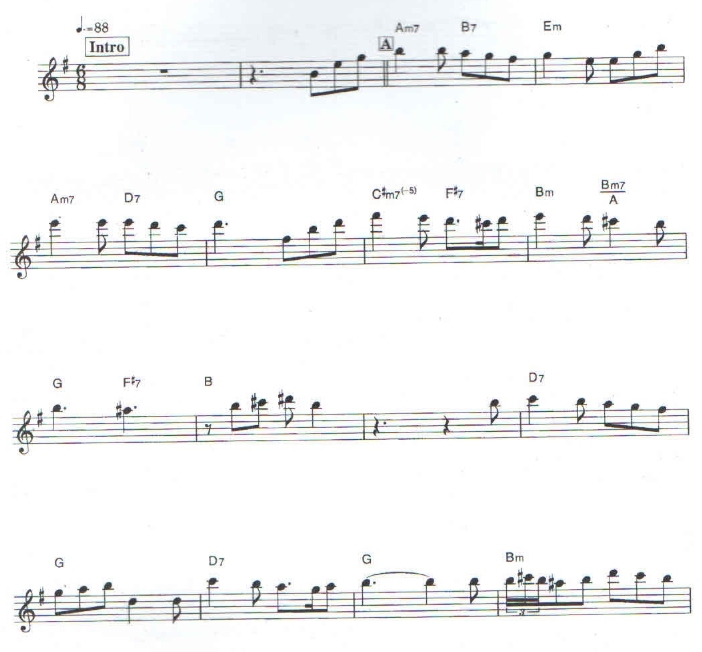 人生的旋转木马 长笛独奏 有试听